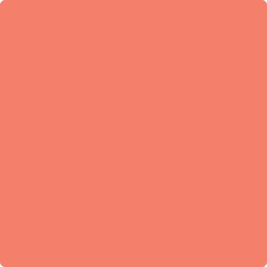 005 Tuscon Coral