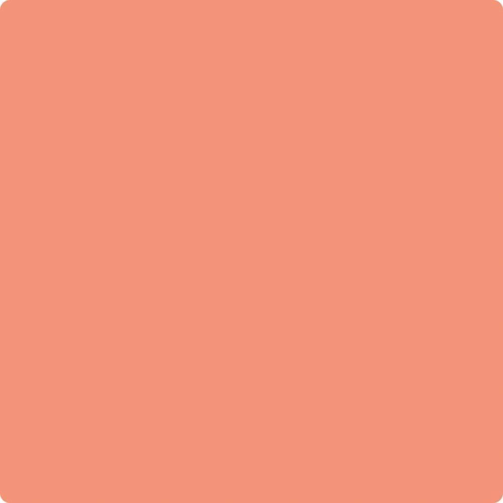 019 Salmon Run