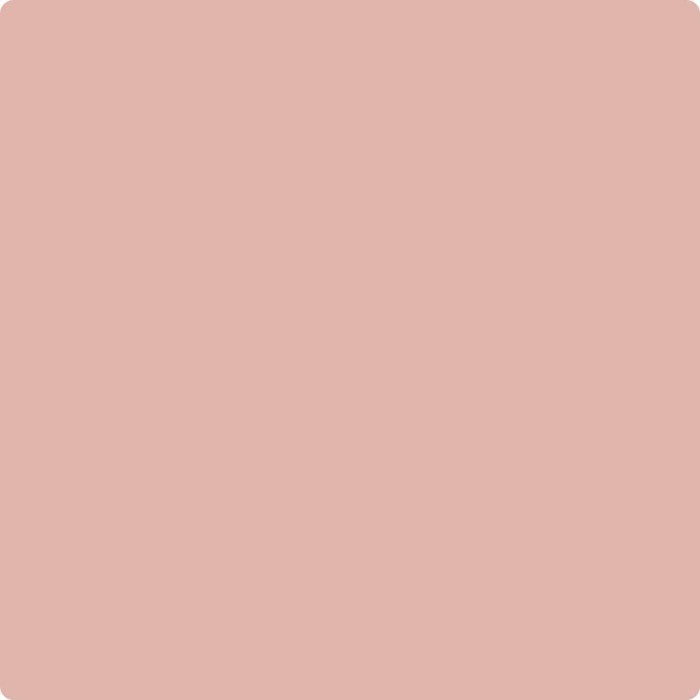 038 Rosetta