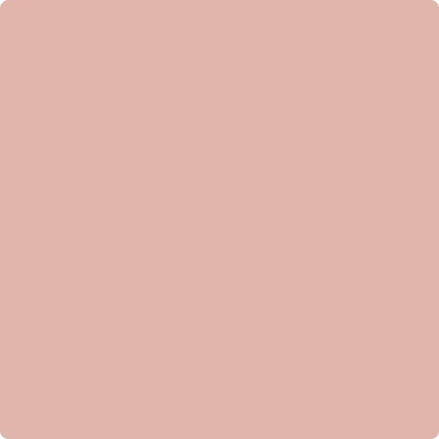038 Rosetta