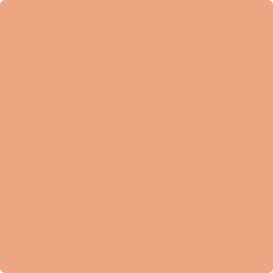068 Succulent Peach