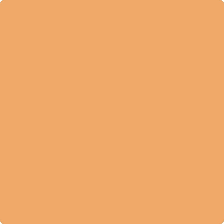 124 Orange Appeal