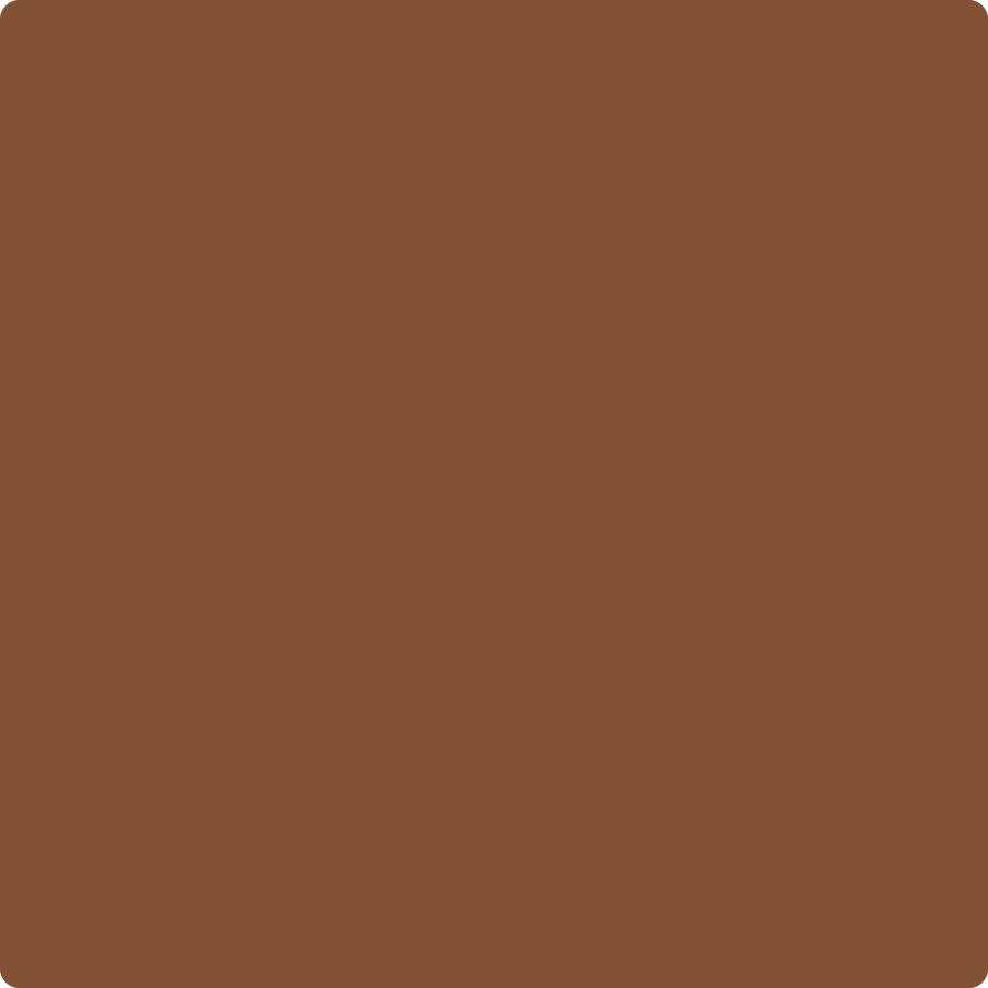 Benjamin Moore Color AF-240 Satchel