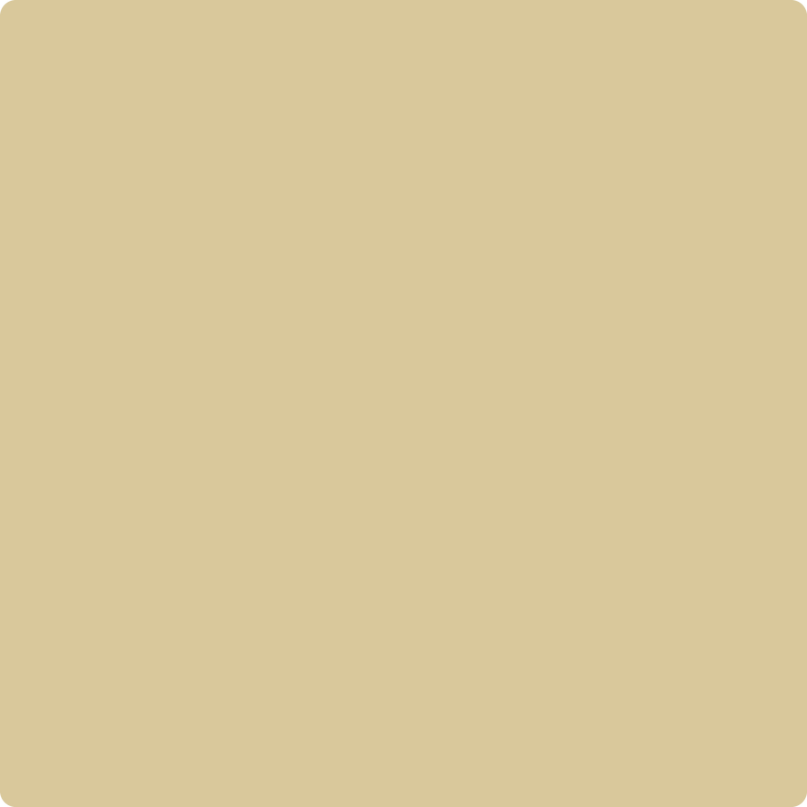 AF-365 Amulet Brush Mock up