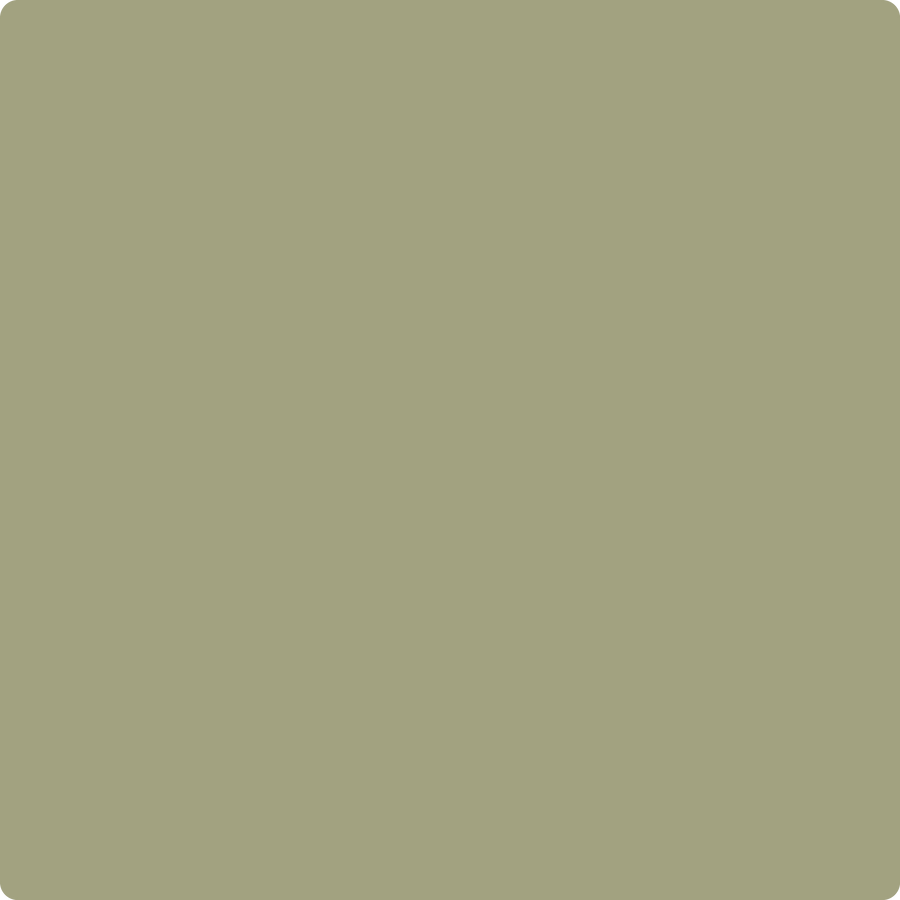 Benjamin Moore Color AF-405 Thicket