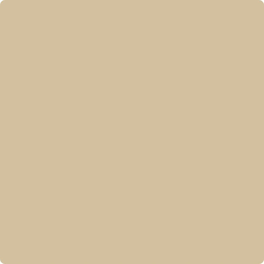 Benjamin Moore Color CC-150 Sandy Brown