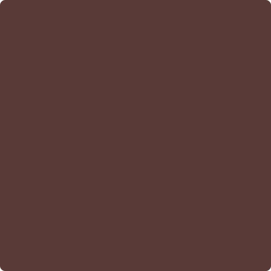 Benjamin Moore Color CC-2 Raphael wet, dry color sample.