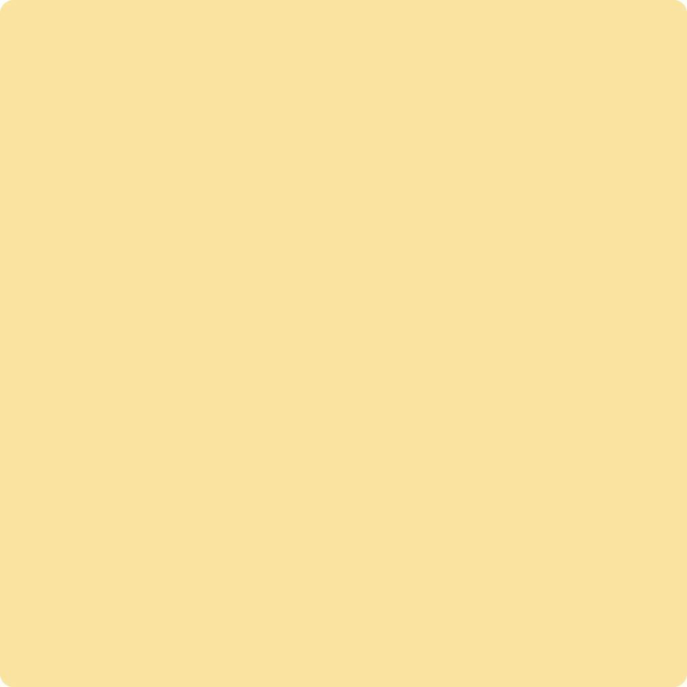 CC-214 Golden Honey Brush Mock up