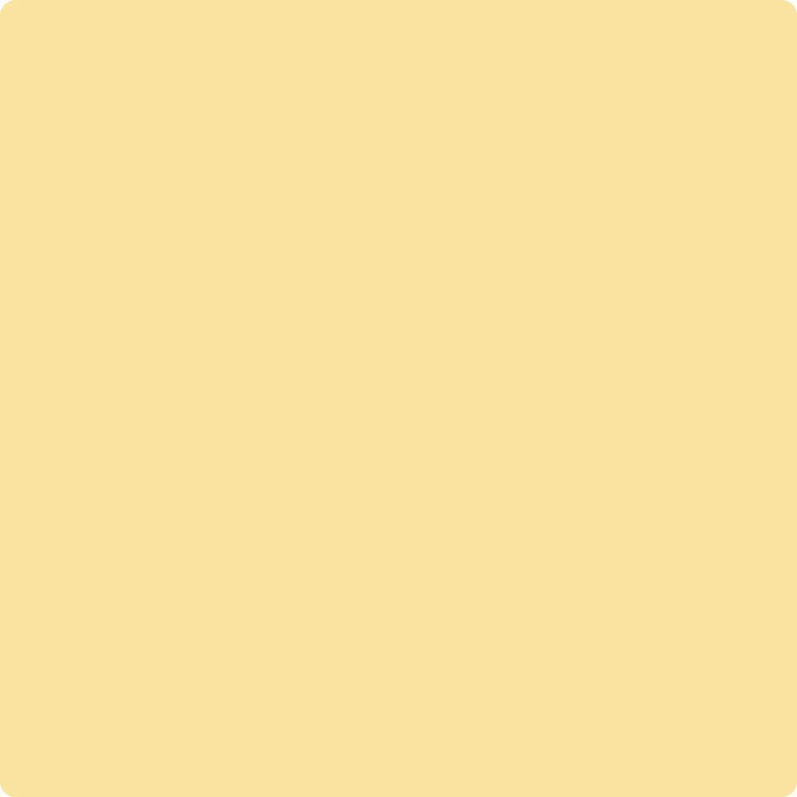 CC-214 Golden Honey Brush Mock up