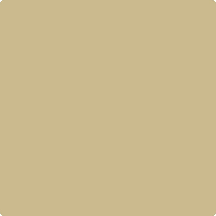 Benjamin Moore Color CC-240 Late Wheat
