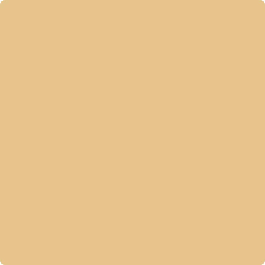 Benjamin Moore Color CC-242 Maple Fudge