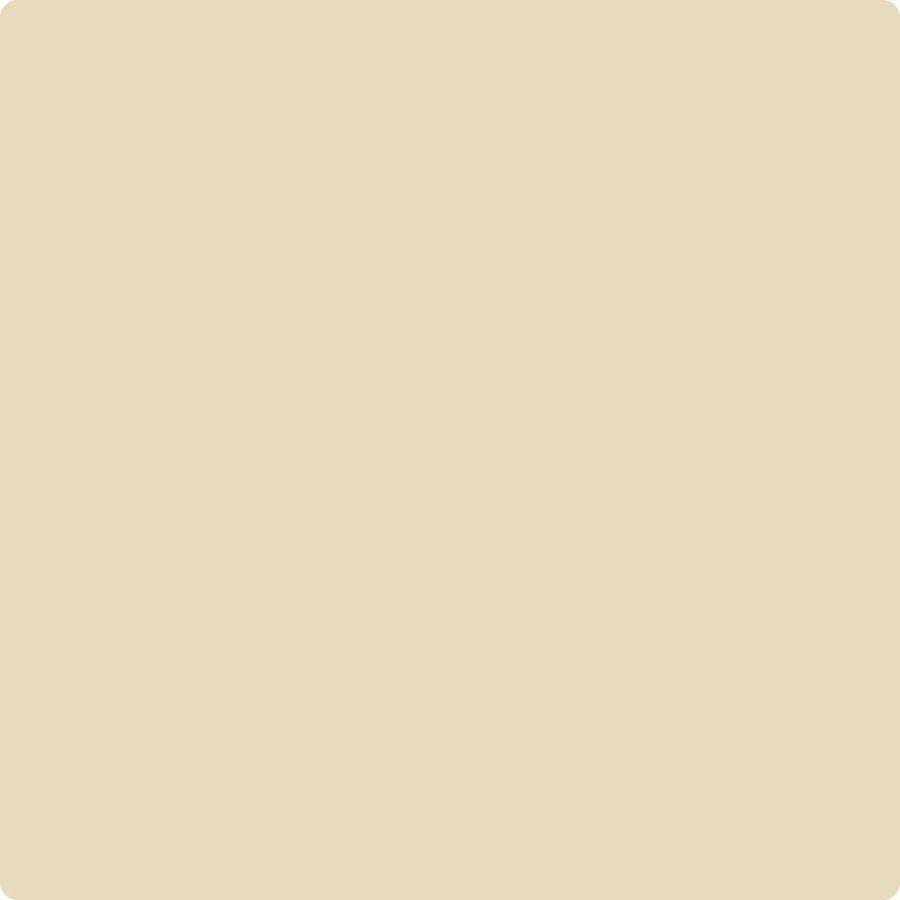 Benjamin Moore Color CC-248 Papaya