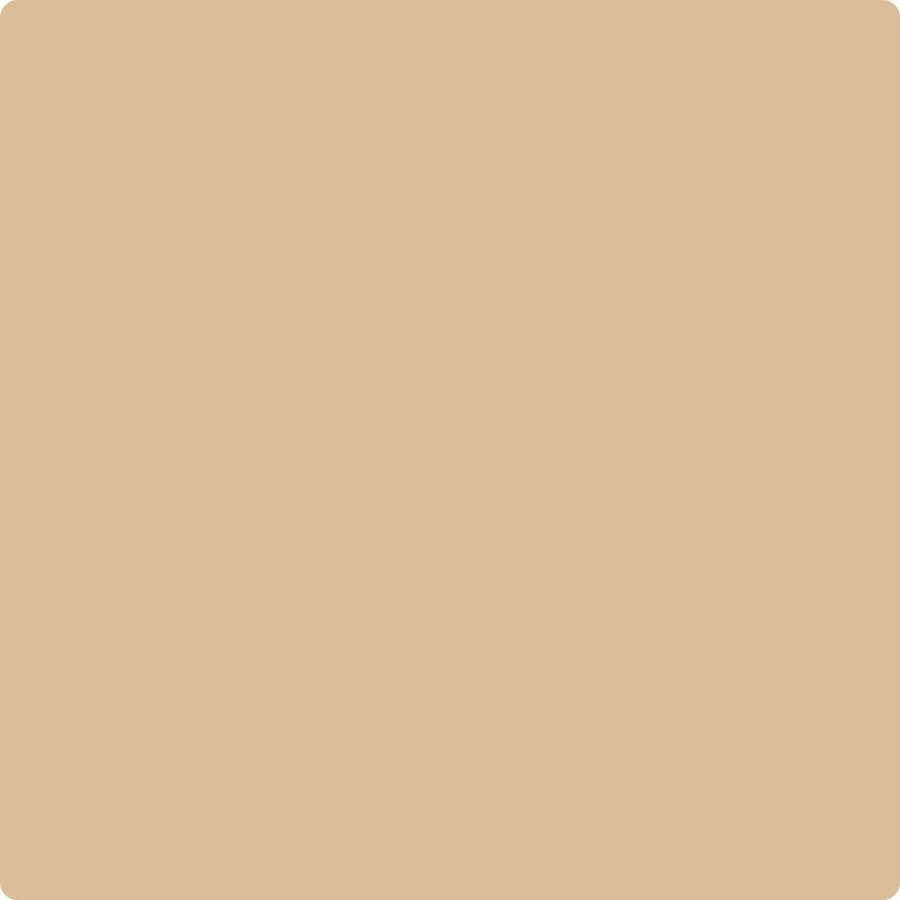 Benjamin Moore Color CC-276 Sepia Tan