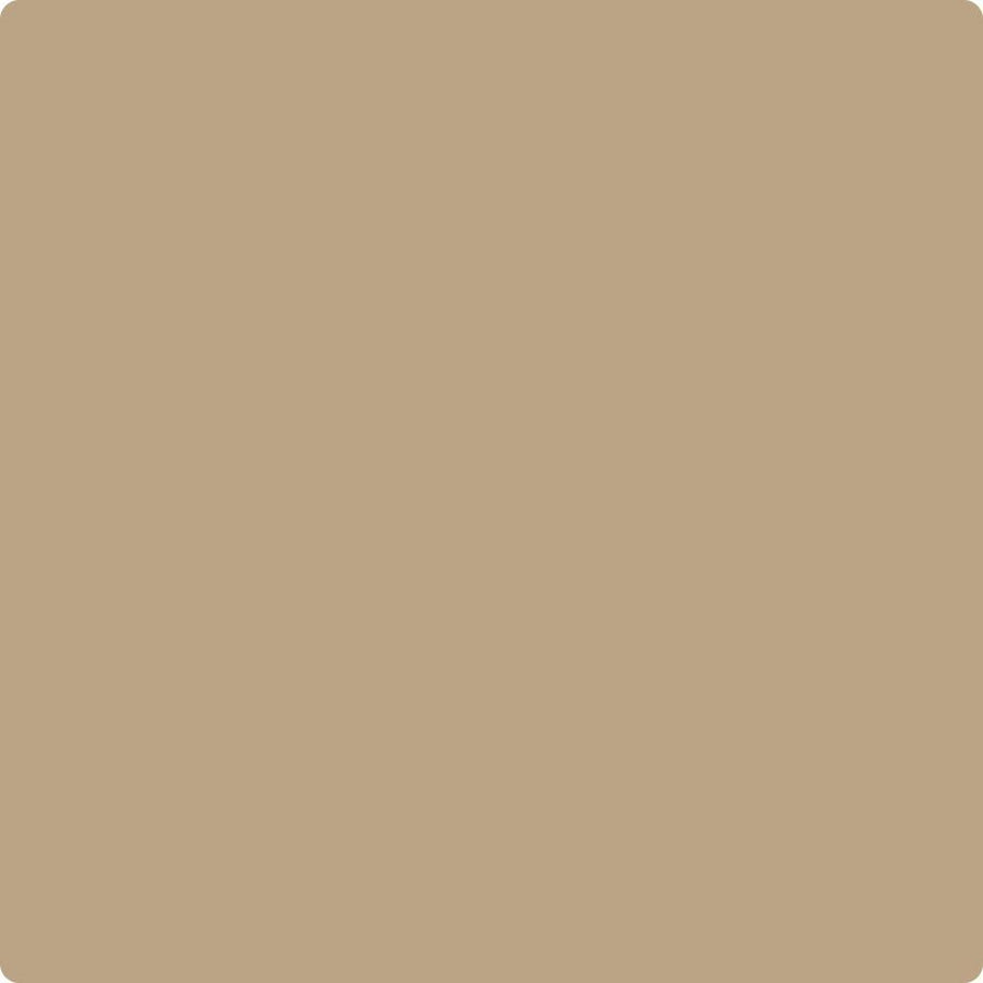 Benjamin Moore Color CC-336 Wild Mushroom
