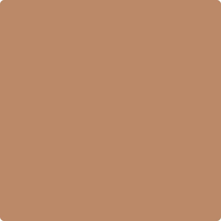 Benjamin Moore Color CC-360 Potters Clay