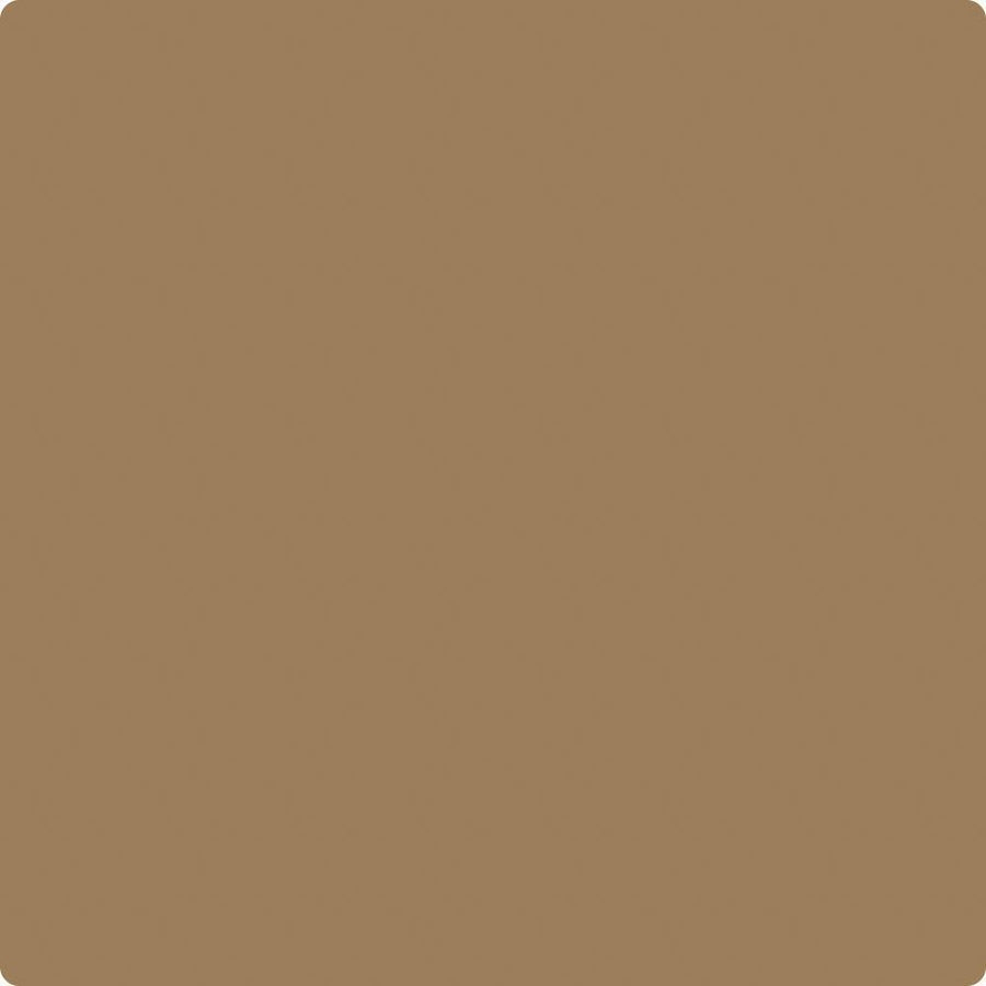 Benjamin Moore Color CC-450 Caramel Apple