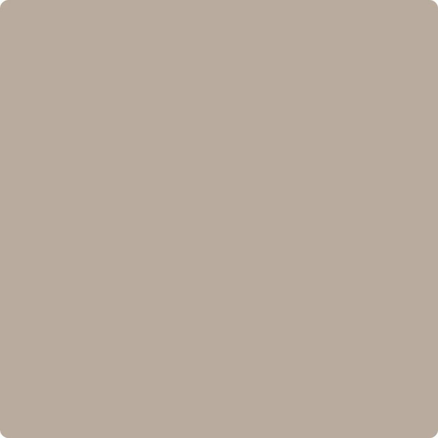 CC-454 Cobblestone Paint Brush Mock Up