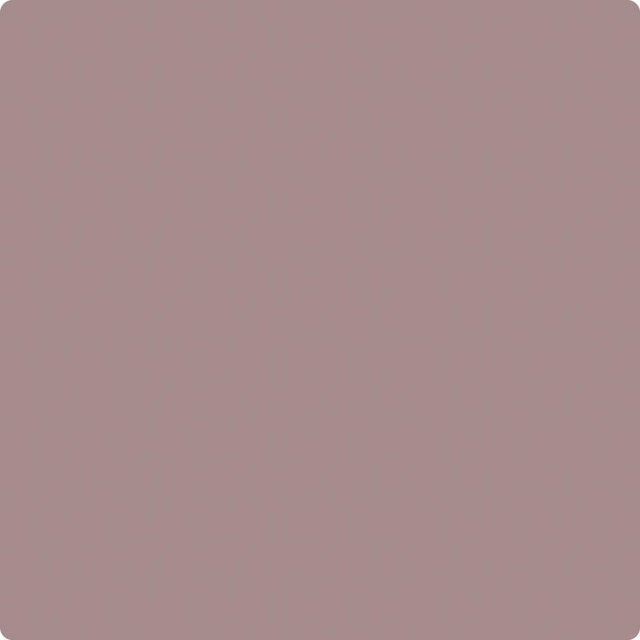 Benjamin Moore Color CC-6 Muskoka Dust wet, dry color sample.