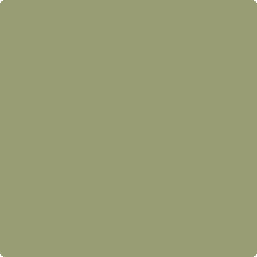 Benjamin Moore Color CC-668 Misted Fern