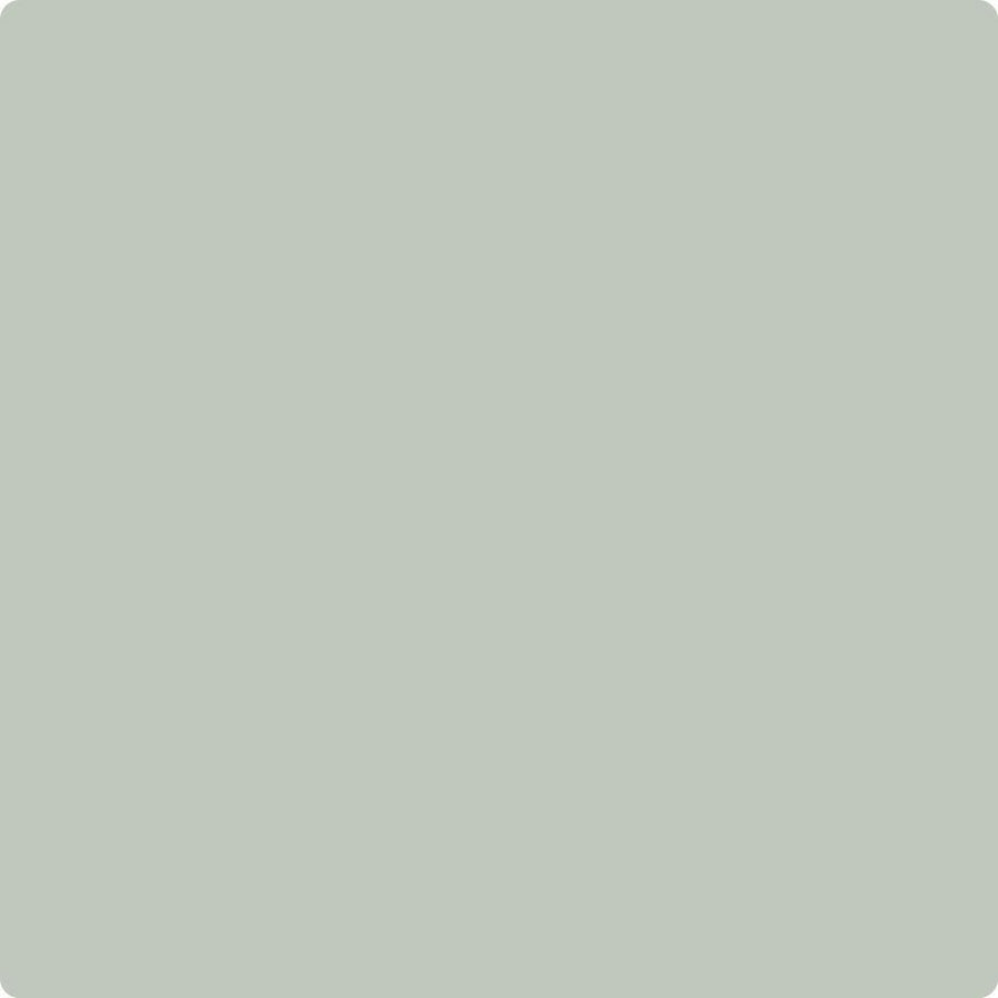 CC-670 Gray Wisp Wet & Dry Color Sample