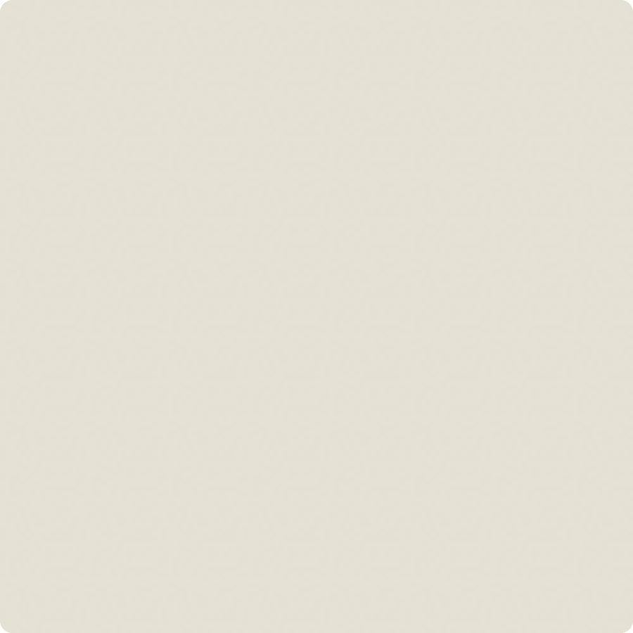 CC-80 Mist Gray Wet & Dry Color Sample