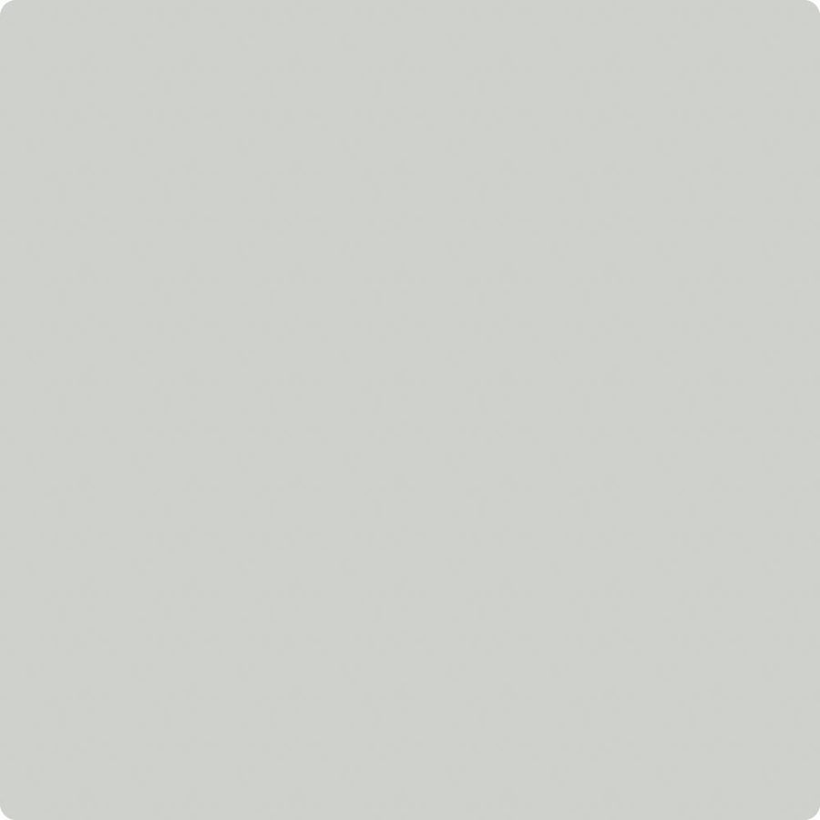 Benjamin Moore Color HC-180 Cliffside Gray wet, dry color sample.